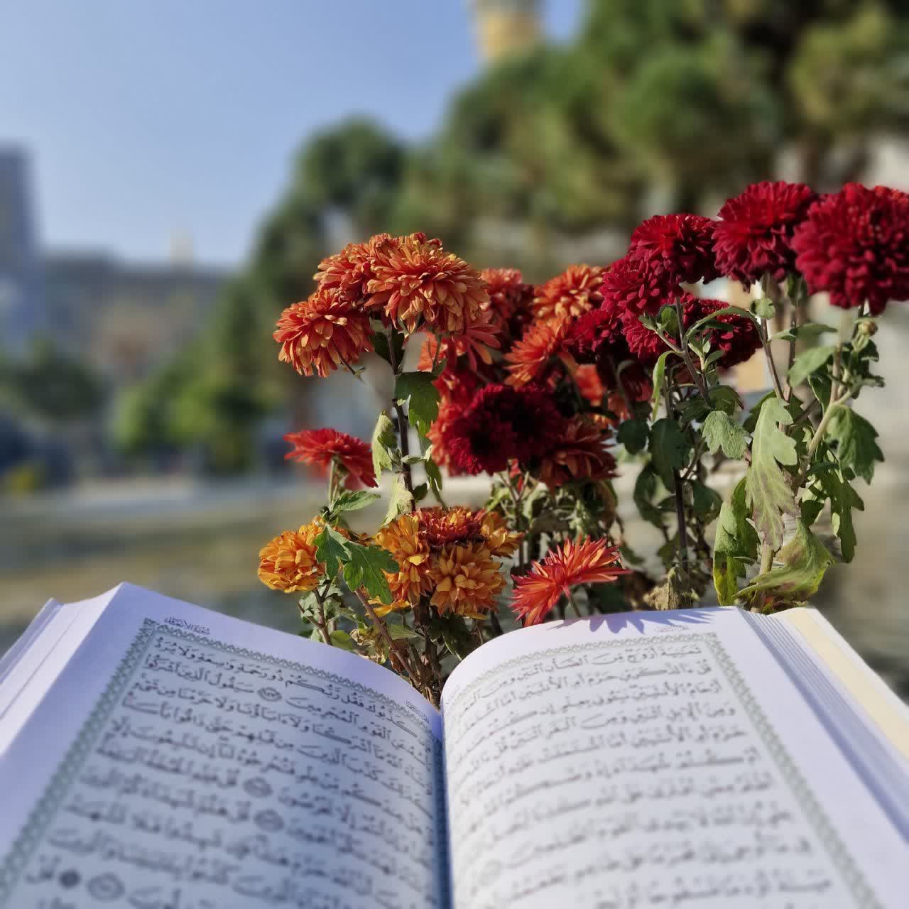 photo_2026-07-18_20-22-50 قرآن حفظ (اسماء الحسنی) - تصویر 1