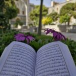 مصحف همراه نیم جیبی | ۱۵ سطری، خط کامپیوتری، بدون ترجمه | همراه کیف چرم